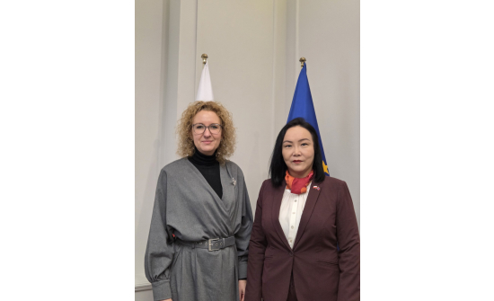 AMBASSADOR N.OYUNDARI MET WITH THE DIRECTOR OF ASIA AND PACIFIC DEPARTMENT OF THE POLISH MFA