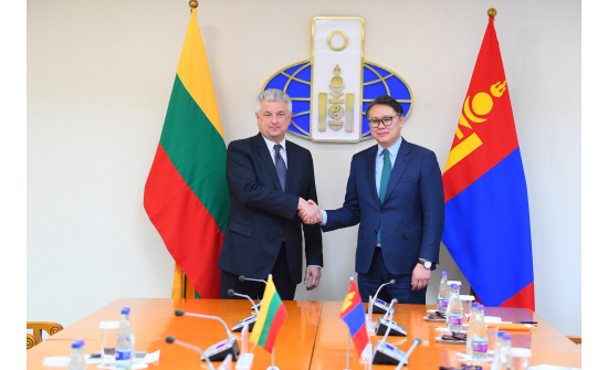 МОНГОЛ, ЛИТВЫН ГАДААД ХАРИЛЦААНЫ ЯАМ ХООРОНДЫН УЛС ТӨРИЙН 7 ДУГААР ЗӨВЛӨЛДӨХ УУЛЗАЛТ БОЛОВ