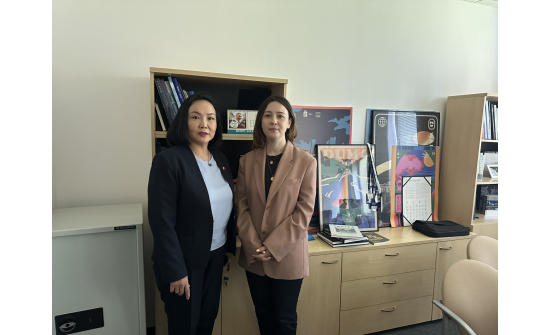 ЭЛЧИН САЙД Н.ОЮУНДАРЬ ВАРШАВЫН ИТХ-ЫН ОЛОН УЛСЫН ХАМТЫН АЖИЛЛАГААНЫ ГАЗРЫН ЗАХИРАЛТАЙ УУЛЗАВ